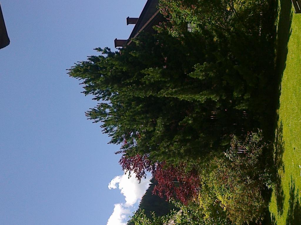 Ferienhaus Zipfmatl Keusche บาด ไคลน์เคิร์ชไฮม์ ภายนอก รูปภาพ